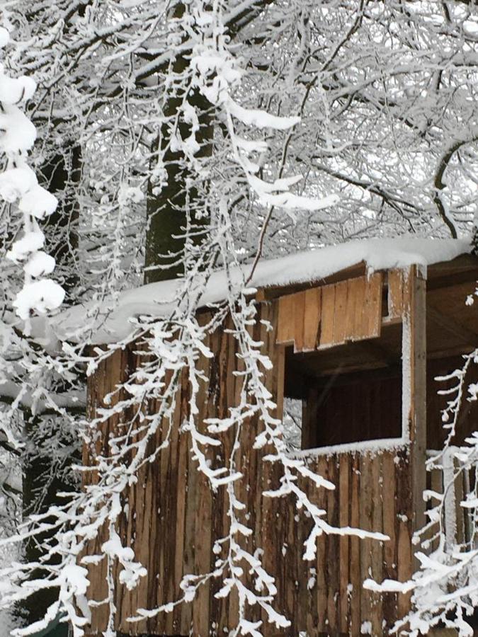 Ferienhaus Janne Monschau Zewnętrze zdjęcie